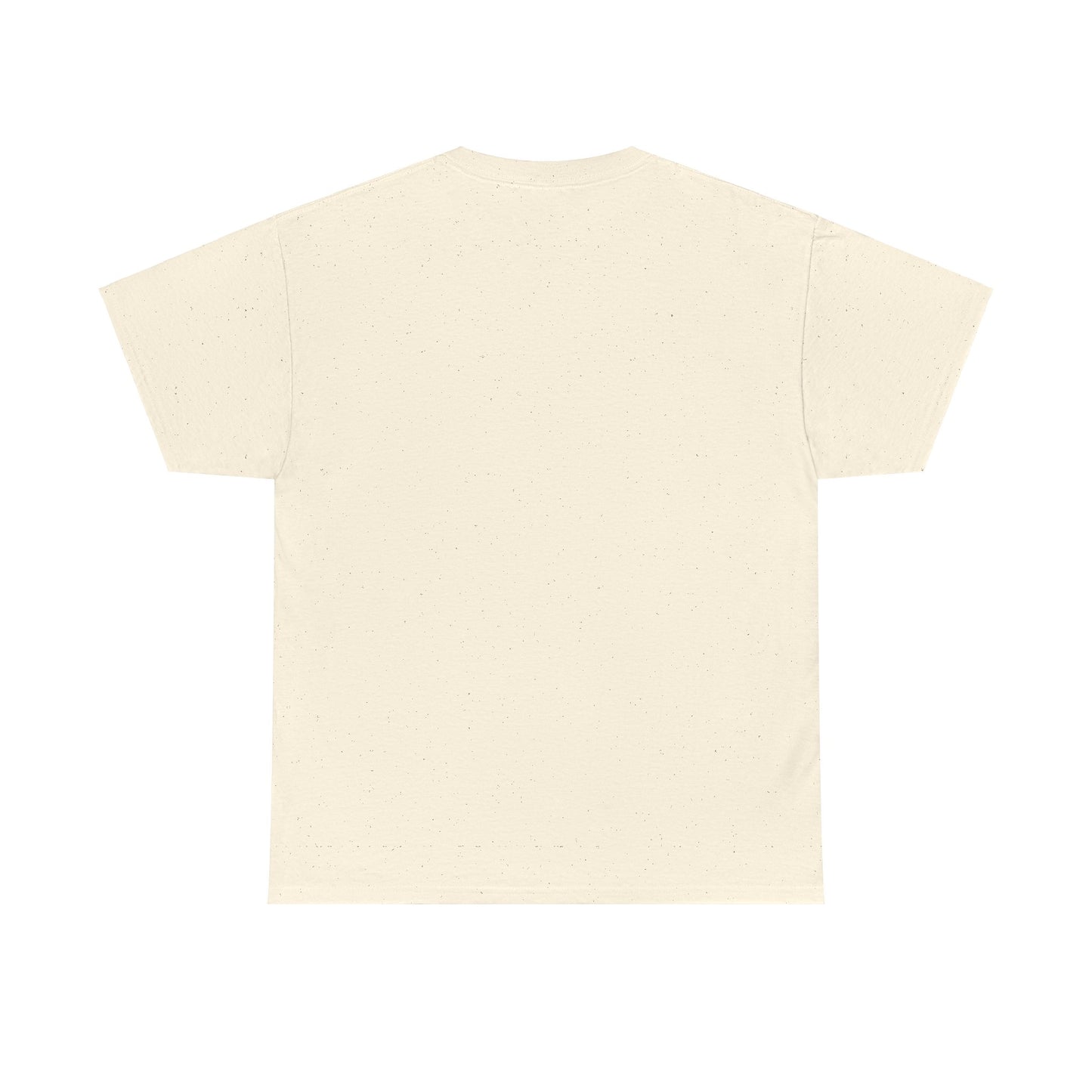 CC Sabathia Hall Of Fame 2025 Heavy Cotton T-Shirt